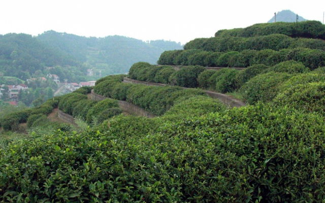 网上找了一张图,看图自行发挥一下想象吧!